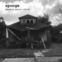 Molly (16 Candles Down the Drain) - Sponge