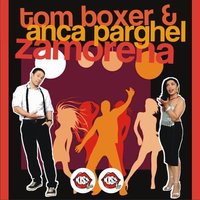 Brasil (Dj Andi rmx) - Tom Boxer, Fly Project