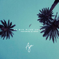Ne dis plus jamais - Ayna, DJ Moox