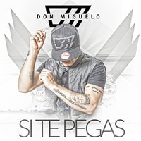 Si Te Pegas - Don Miguelo