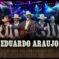 Um Violeiro Toca - Eduardo Araujo