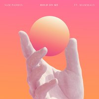 Hold on Me - Sam Padrul