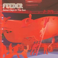 Forever Glow - Feeder