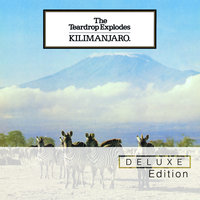 Bouncing Babies - The Teardrop Explodes