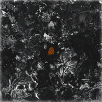 Waste - Jazz Cartier