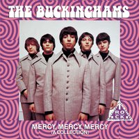 This Is How Much I Love You - The Buckinghams