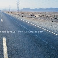 I Wanna Be Your Dog - Uncle Tupelo