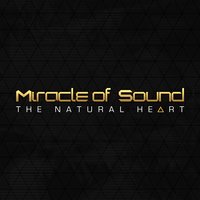 The Natural Heart - Miracle Of Sound