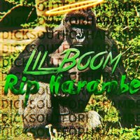 Rip Harambe - Lil Boom