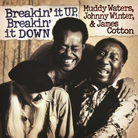 How Long Can a Fool Go Wrong - Muddy Waters, Johnny Winter, James Cotton