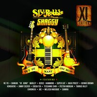 Scheming - Shaggy