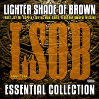 Sunny Day - Lighter Shade Of Brown