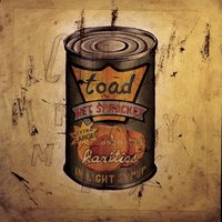 All Right - Toad The Wet Sprocket