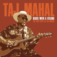 Sitting On Top Of The World - Taj Mahal
