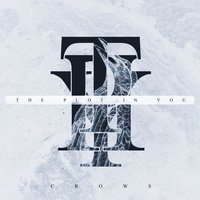 Crows - The Plot in You