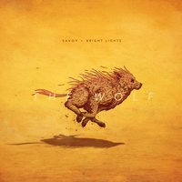 The Wolf - Bright Lights