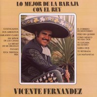 La Mitad De Mi Orgullo - Vicente Fernandez