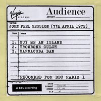 Barracuda Dan (John Peel Session) - Audience
