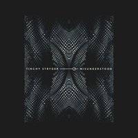 Misunderstood - Tinchy Stryder