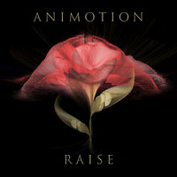 Last Time - Animotion
