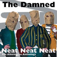 I Think I'm Wonderful - The Damned