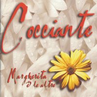 E' passata una nuvola - Riccardo Cocciante