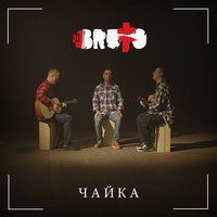 Чайка - BRUTTO