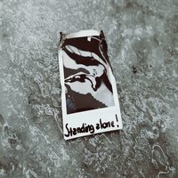Standing Alone - While My City Burns