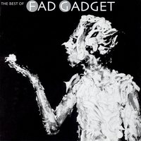 Fad Gadget