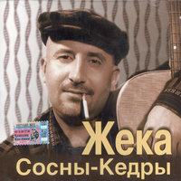 Пилят пилы - Евгений Григорьев – Жека