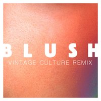 Blush - Elekfantz, Vintage Culture