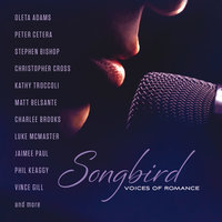 Arthur's Theme (Best That You Can Do) - Christopher Cross