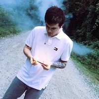 Polo Socks - Oliver Francis