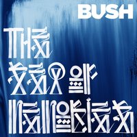 She‘s a Stallion - Bush