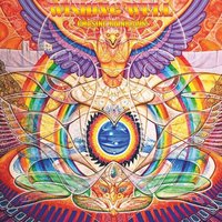 Chasing Rainbows - Wishing Well
