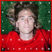 Det här är inte mitt land - Thomas Stenström, Silvana Imam