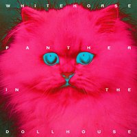 Night Hawks - Whitehorse