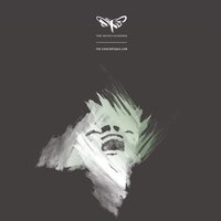 This Providence of Bones - The Moth Gatherer