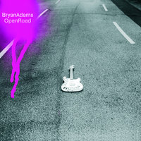 Blessing In Disguise - Bryan Adams