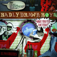 Tickets To What You Need - Badly Drawn Boy