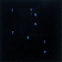 It's A Trip! - Joywave