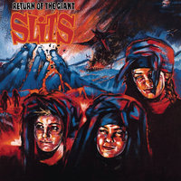 Animal Space / Spacier - The Slits