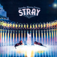 How Could I Forget You - Stray