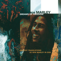 Burnin' And Lootin' - The Wailers, Bill Laswell