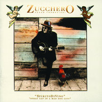 No More Regrets - Zucchero