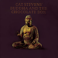 Home In The Sky - Cat Stevens