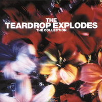 Like Leila Khaled Said - The Teardrop Explodes