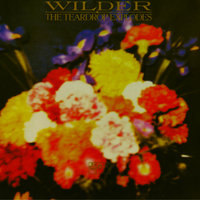 You Disappear From View - The Teardrop Explodes