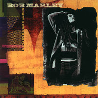 Roots, Rock, Reggae - Bob Marley, Steven Tyler, Joe Perry