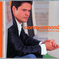 Breeze On By - Donny Osmond